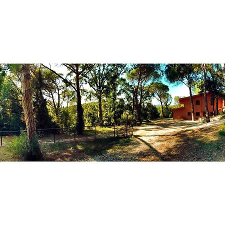 Agriturismo Poggio Al Pino Montelupo Fiorentino Exteriör bild