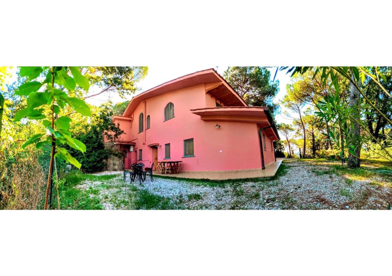 Agriturismo Poggio Al Pino Montelupo Fiorentino Exteriör bild
