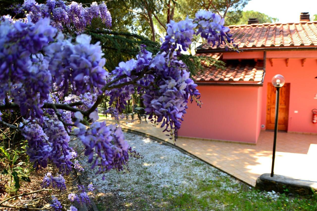 Agriturismo Poggio Al Pino Montelupo Fiorentino Exteriör bild