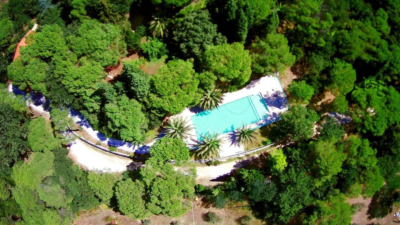 Agriturismo Poggio Al Pino Montelupo Fiorentino Exteriör bild